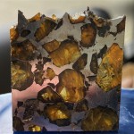 Meteoryt Pallasyt Rogaty Brahin - Kosmiczne Oliwiny Gwiazdka z nieba + Certyfikat+Pudełko
