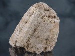 Tremolit - słupkowy - kryształ - Madagaskar